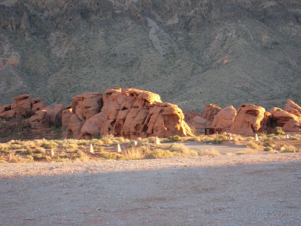 Las Vegas 2010 - Valley of Fire 0961.JPG - The 2010 Las Vegas Fire - Ice and Sweat Tour. Half Marathon, Red Rock Canyon, Mt. Charleston, Casinos, Valley of Fire.... and buffets!